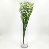 Clear glass vase with a bouquet of white flowers on a white background