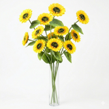 Bouquet of sunflowers in a clear vase on a white background